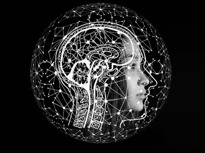 PhD Position: Laminar fMRI of Hippocampus