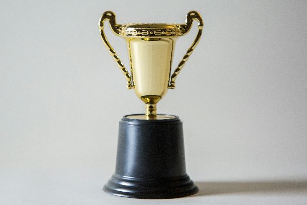 ISMRM Honours ELH Project
